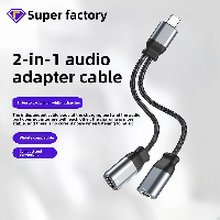 Wholesale 2-in-1 Type-C Braided Adapter New Condition Audio Cable for Listening Charging Compatible 